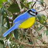 Fused Glass Birds, BLUE TIT bird lover gift, British bird, hanging bird