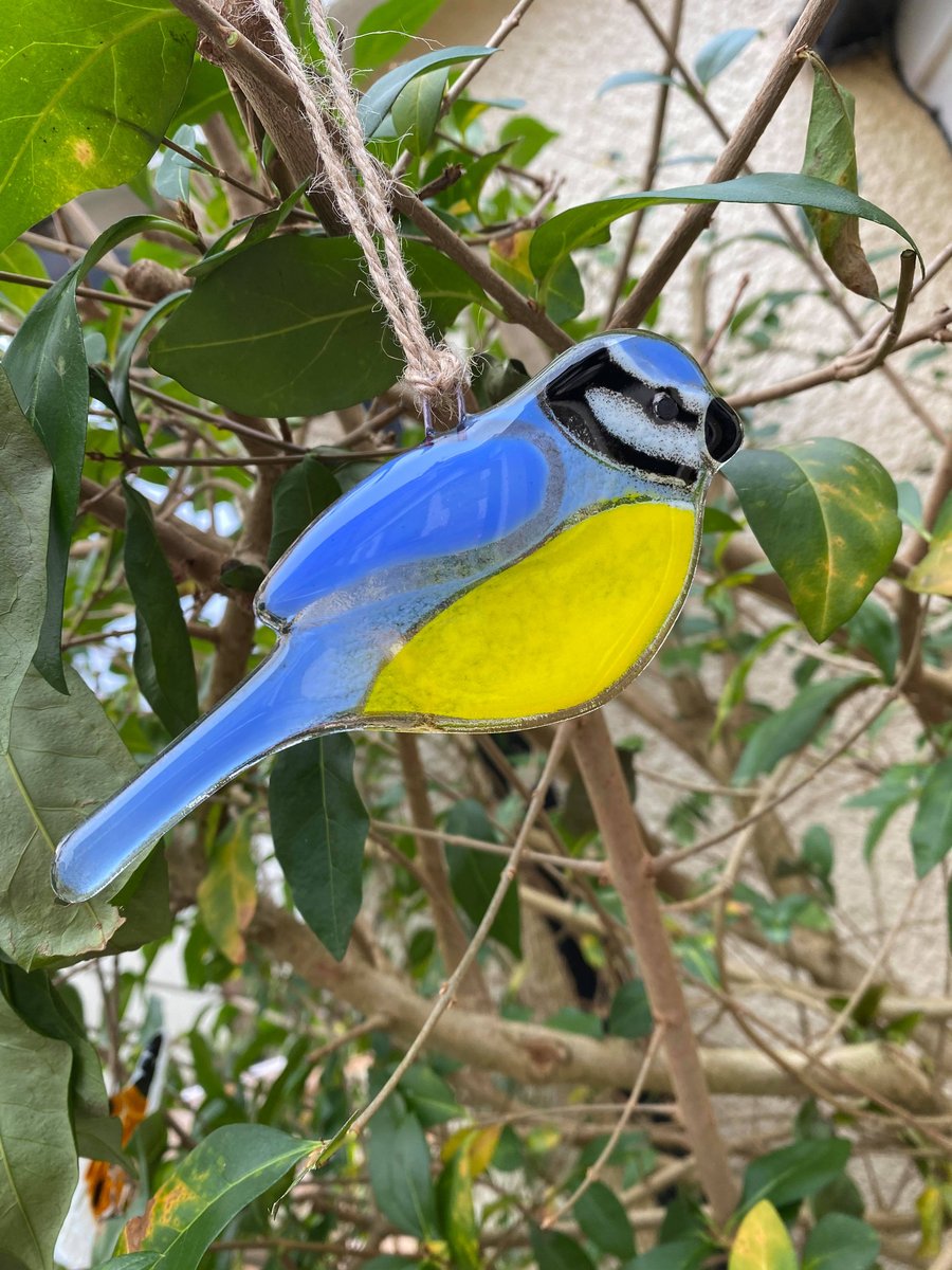 Fused Glass Birds, BLUE TIT bird lover gift, Br - Folksy