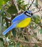 Fused Glass Birds, BLUE TIT bird lover gift, British bird, hanging bird