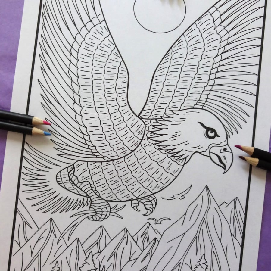 Eagle Forest Animal A4 Colouring Page Printable JPG by S Godwin Studio