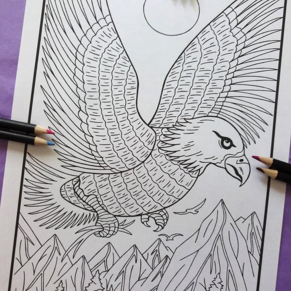 Eagle Forest Animal A4 Colouring Page Printable JPG by S Godwin Studio