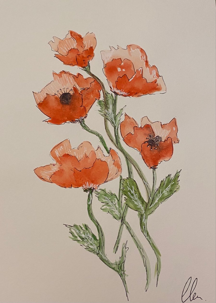 Bunch of poppies