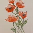 Bunch of poppies
