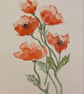 Bunch of poppies