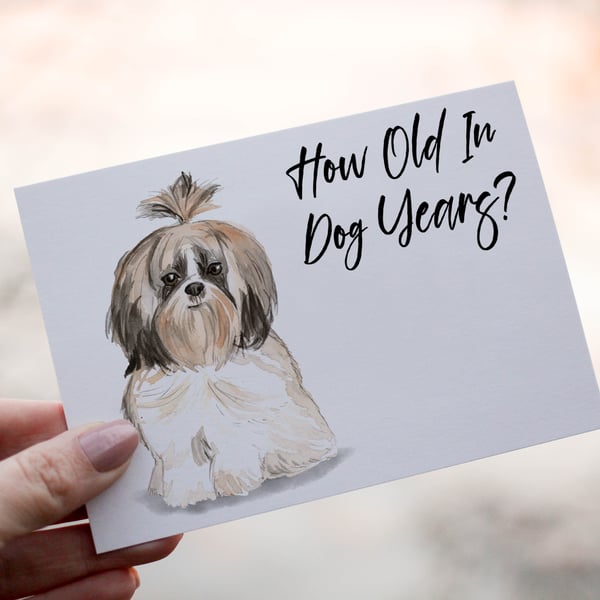 Shih Tzu Dog Birthday Card, Dog Birthday Card