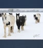 CJ119 - Ponies in the snow - Image 2