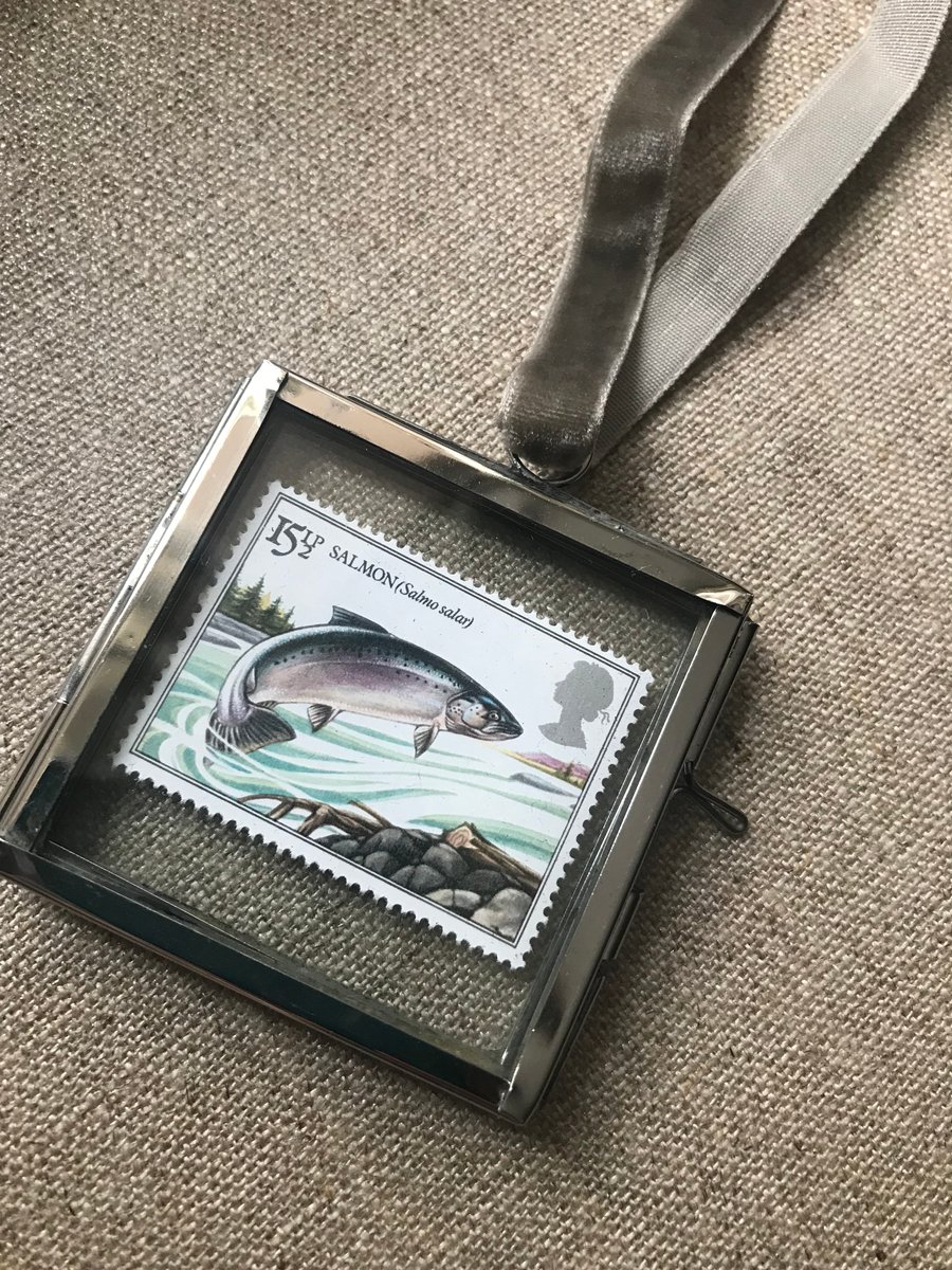 Salmon fish . Mini glass framed mint stamp gallery art 