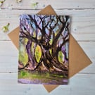 Listening trees greeting card