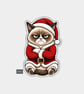 Funny Christmas Sticker Vinyl Xmas Decal For Adults - Grumpy Santa Cat - Image 1