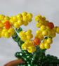 Miniature Yellow or Pink Beaded Primula  - Image 3