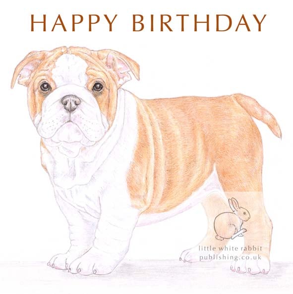 Winnie the English Bulldog - Birthday Card