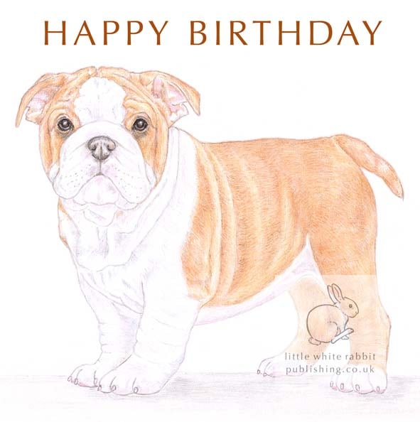 Winnie the English Bulldog - Birthday Card
