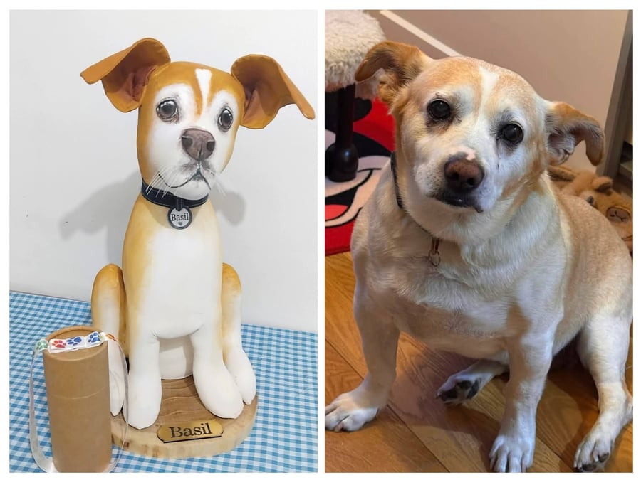 Fully personalised Pet Memorials with canister 