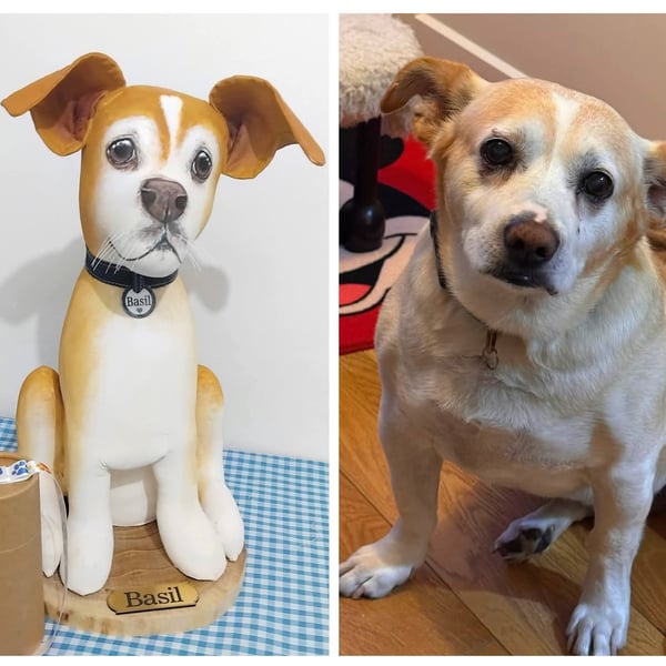 Fully personalised Pet Memorials with canister 