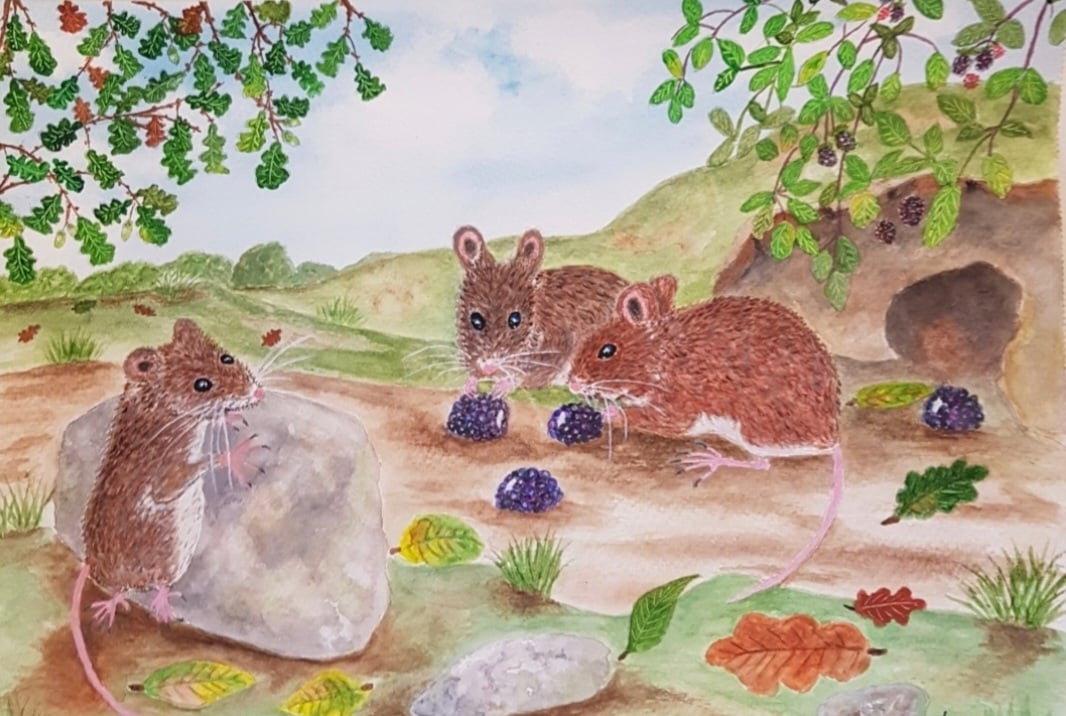 The Woodmouse and The Blackberry Feast. Wall Art Print A4