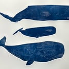 Sperm Whales