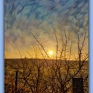 Early Morning Tree Winter Sun Norfolk Nordelph Greeting Card A5