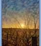 Early Morning Tree Winter Sun Norfolk Nordelph Greeting Card A5