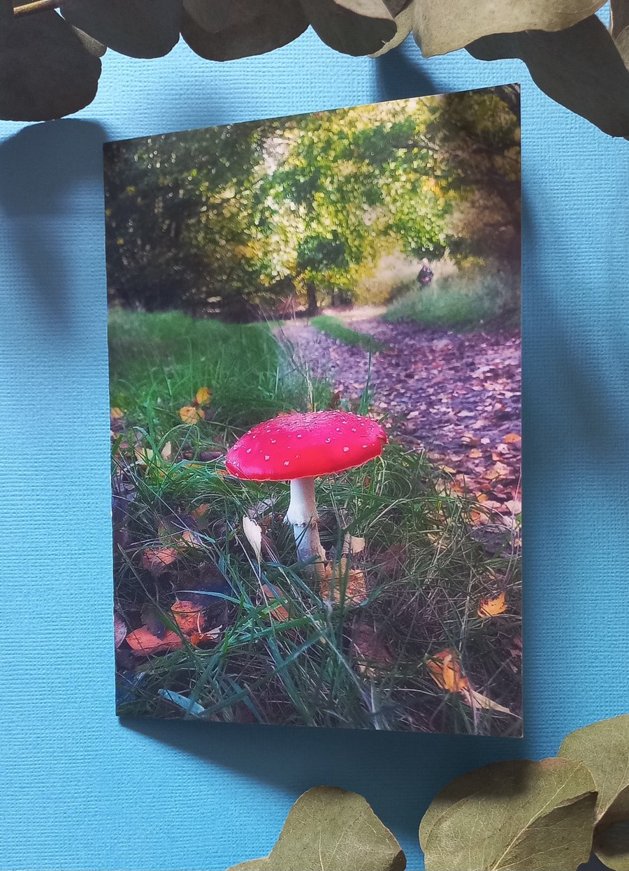 Mushroom - Blank Landscape Greeting Card & Envelope