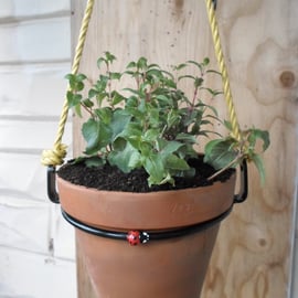 Hanging Plant Pot Ring Holder..........Hand Crafted in Forged Steel