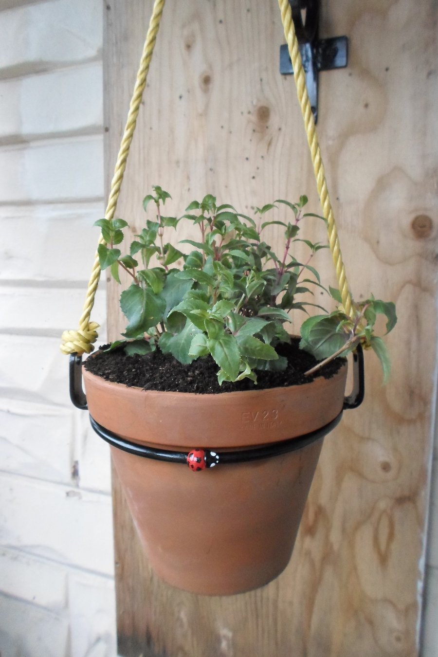 Hanging Plant Pot Ring Holder..........Hand Crafted in Forged Steel