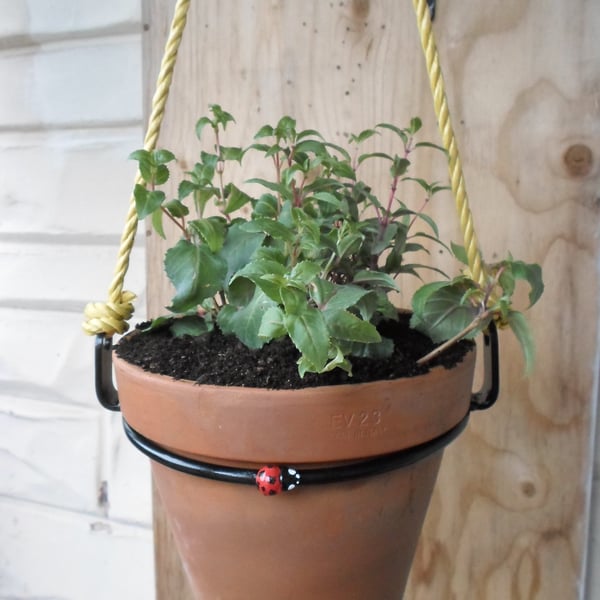Hanging Plant Pot Ring Holder..........Hand Crafted in Forged Steel