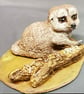 Single Meerkat and Log - Image 2