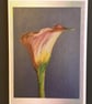 Greetings Card (Blank) A5 - 'Appreciate and Admire': Print of Original Painting
