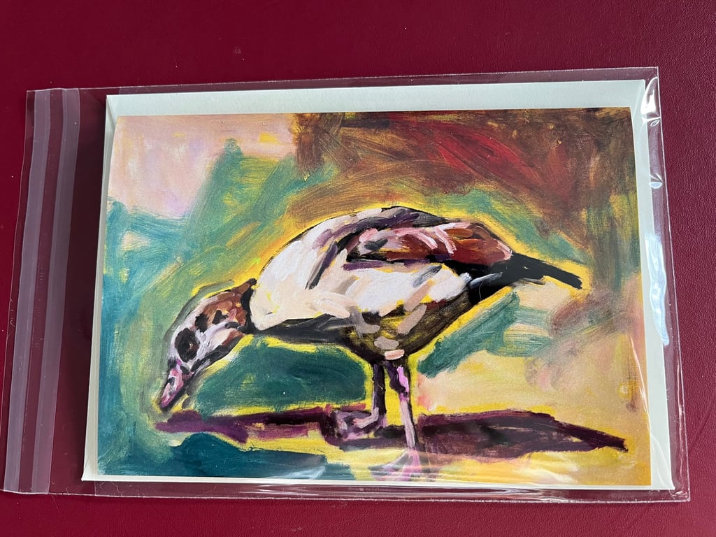 Egyptian Goose Blank Card