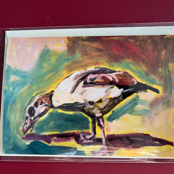 Egyptian Goose Blank Card