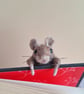 Mischief Mouse - Rufus - Image 2