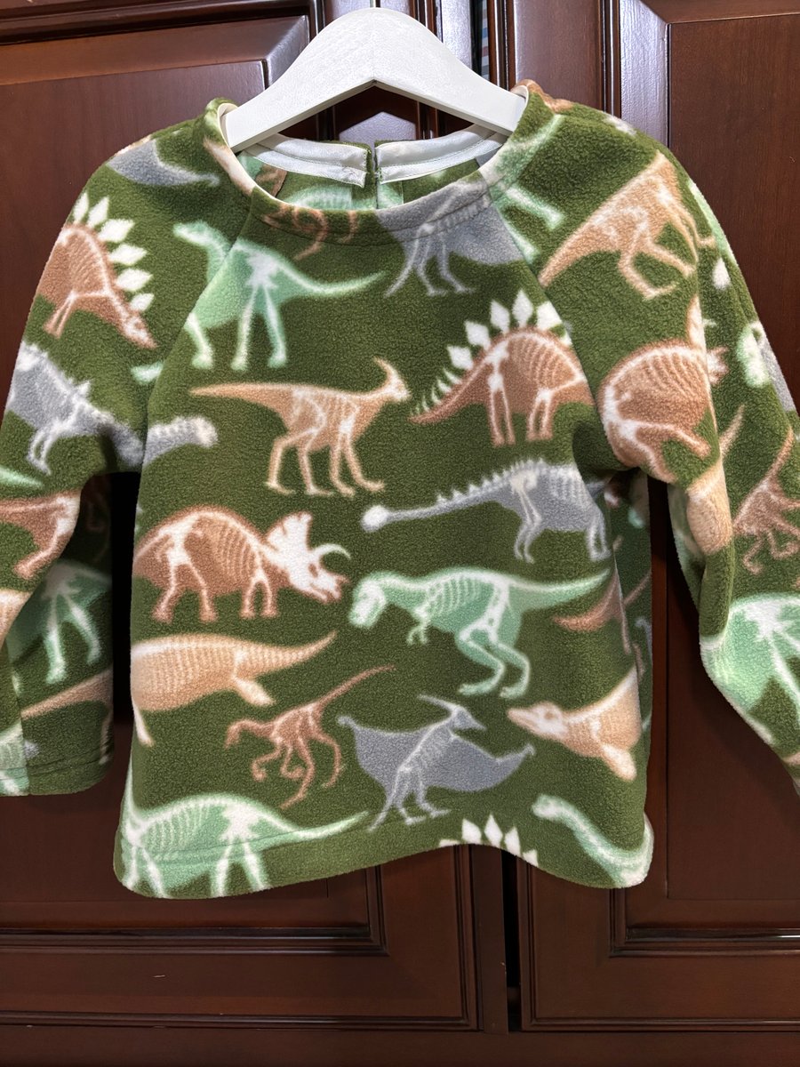 Child’s Dinosaur Fleece Top