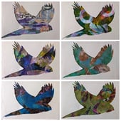 Sarah Taylor Art