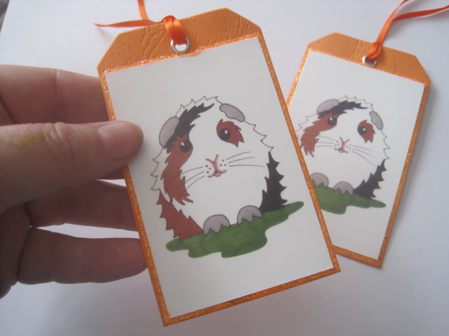 Guinea Pig Gift Tag x2 Folksy
