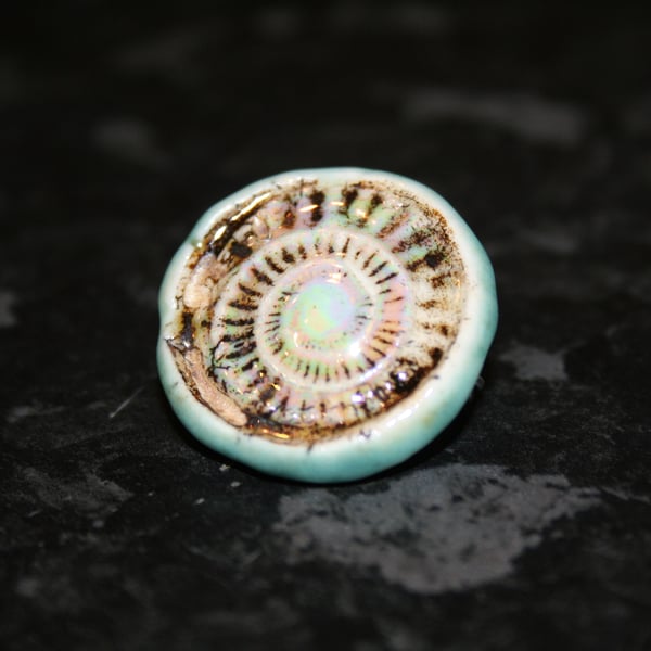 Handmade ceramic light green & mother of pearl lustre ammonite brooch