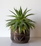 Black Geometric Line Plant Pot - Image 2