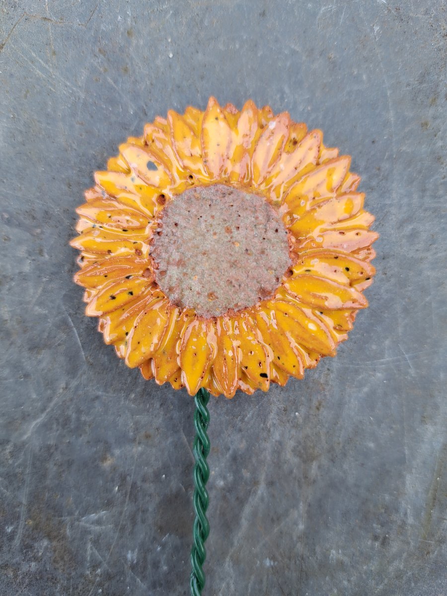 Pottery Sunfower