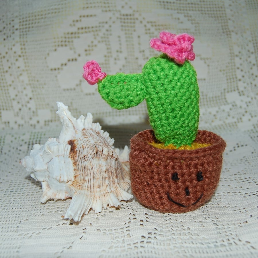 Crochet cactus and pot.  An everlasting plant that doesn't require watering