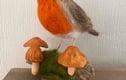 Toadstools