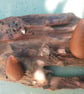 Blitz Timber 5 - Image 3