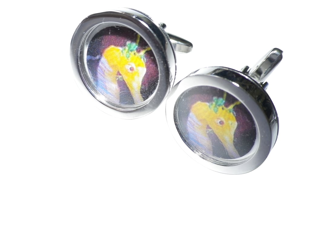 Yellow Seahorse cufflinks, free shipping, gift wrapped, superb image, Ref 5960
