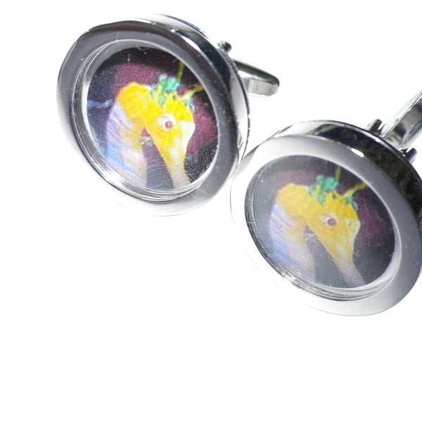 Yellow Seahorse cufflinks, free shipping, gift wrapped, superb image, Ref 5960