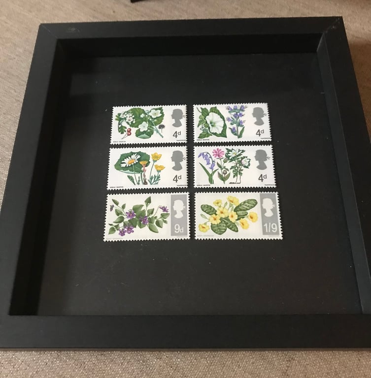 British Flora 1967 x Framed set mint postage stamps Art
