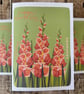August Birth Flower Card, Gladioli, Birthday Card, Floral Greeting Cards, Botani