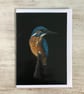 'Kingfisher Perching', A5, Bird Art greetings card. - Image 5