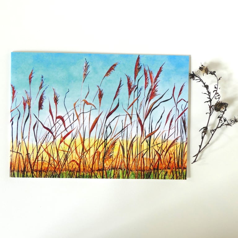 Summer Fen Reeds Field Landscape Greeting Card from Original Watercolour