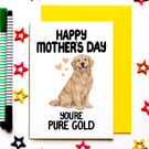 Golden Retriever Mother’s Day Card – You’re Pure Gold