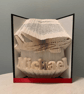 Plane CUSTOM NAME COMBI Book Folding Pattern - EMAILED PDF PATTERN - Image 1