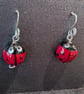 Handmade Murano Glass Ladybird Earrings on Sterling Silver Earwires - Image 2