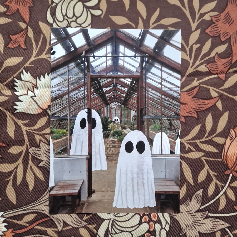 Ghosts In A Greenhouse 